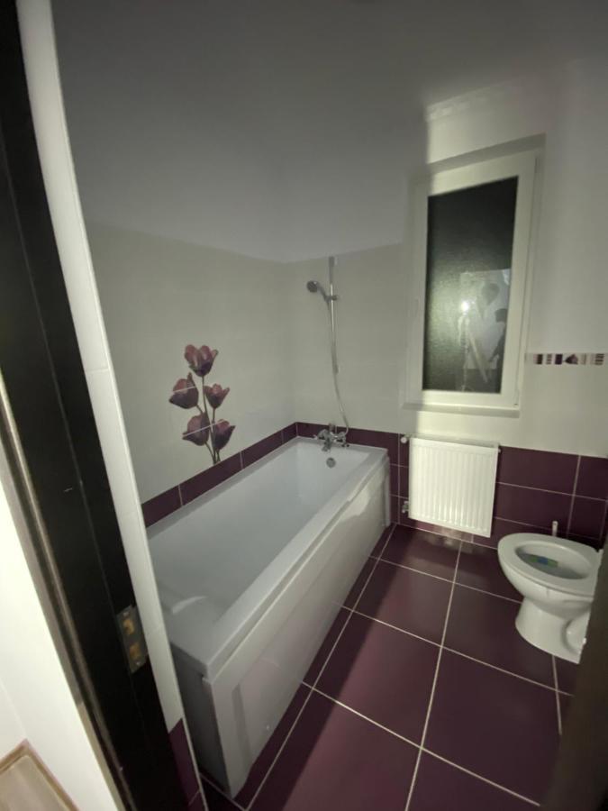 Luxury Apartment Satu Mare Exteriér fotografie