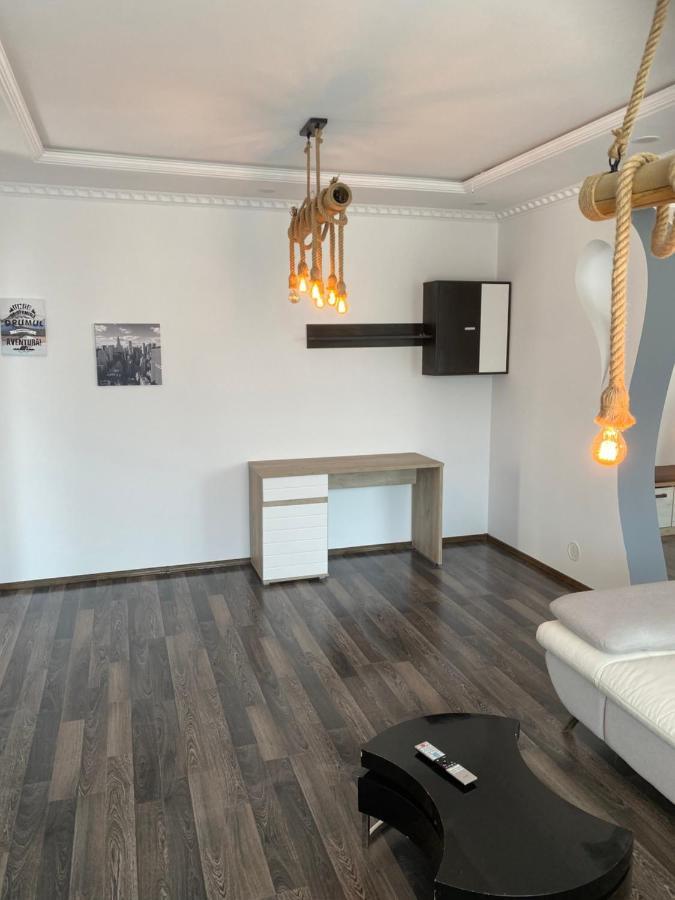 Luxury Apartment Satu Mare Exteriér fotografie